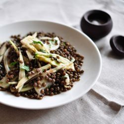 Lentil and Fennel Salad