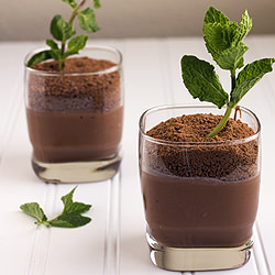Potted Mint-Chocolate Puddings