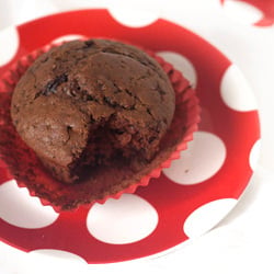 Chocolate Chunk Muffins