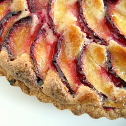 Plum Frangipane Tart