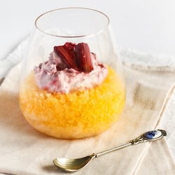 Orange Granita & Rhubarb Fool