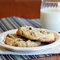 Soft Chocolate Chip Cookies