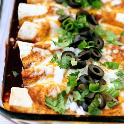 Cheese Enchiladas