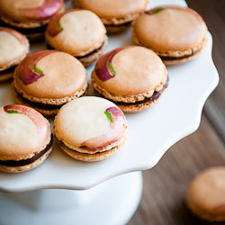 Coconut Rose Chocolate Macarons