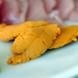 Uni (Sea Urchin)