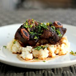 Short Ribs w/ Red Wine & Port