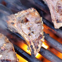 Grilled Lamb Chops