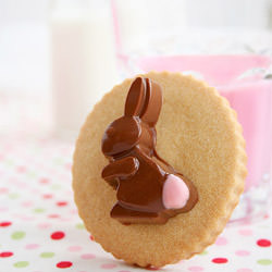 Decorated Cookies w/ Chocolate
