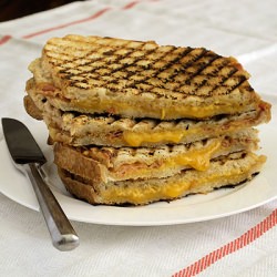 Grilled Cheddar w/ Hot Mustard