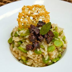 Baby Broad Beans Risotto