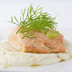 Vanilla Salmon
