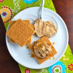 PB & Dark Chocolate Hummus