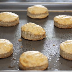 Fennel & Creme Biscuits