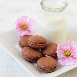 Chocolate Macarons