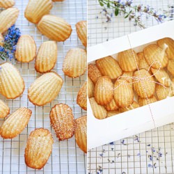 Lemon Madeleines