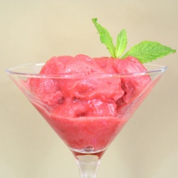 Rhubarb Sorbet