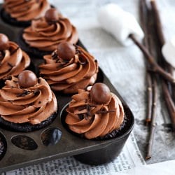 Campfire Delight Cupcakes