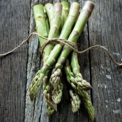 Spring Vegetables and Hollandaise