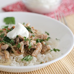 Salsa Pork