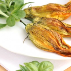 Stuffed Zucchini Flowers