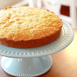 Vanilla Custard Powder Cake