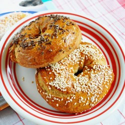 Whole Wheat Bagels