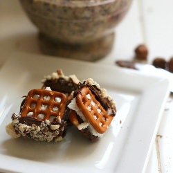 Pretzel Nutella Ice Cream Sandwiches