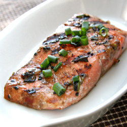 Best Grilled Salmon