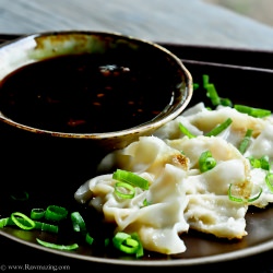 Ginger Duck Gyoza