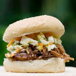 Pulled Pork Barbecue Sandwiches