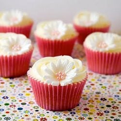 Eggless Cupcakes
