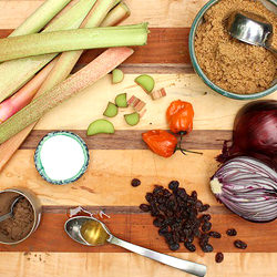 Rhubarb Barbecue Sauce