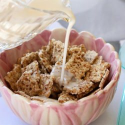 Vegan Crunchy Oaty Cereal