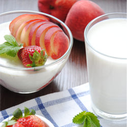 Yogurt Panna Cotta