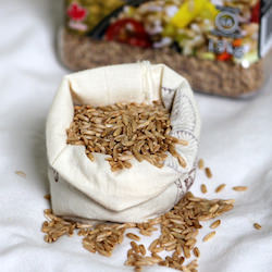 Cavena Hulless Oat