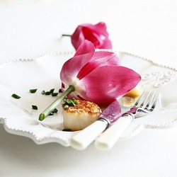Scallop and Tulip Salad
