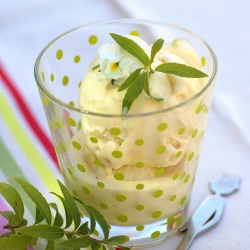 Lemon Verbena Ice Cream