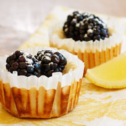 Lemon Cheesecake Yogurt Cups