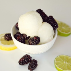 Lemon Lime Sorbet