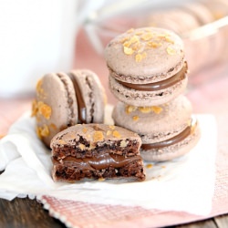 Choc Hazelnut Feuilletine Macarons