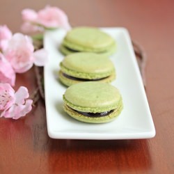 Matcha Macarons