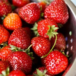 Backyard Strawberry Patch