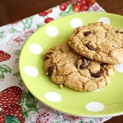 Chocolate Chip Cookies
