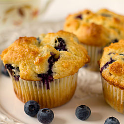 Blueberry Muffins