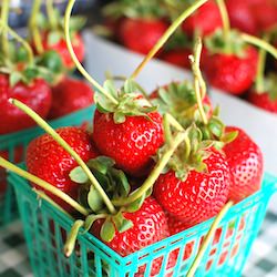 Organic Strawberries