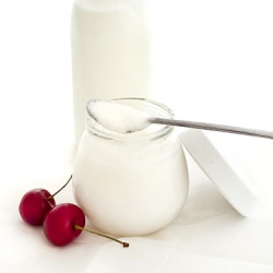 Yogurt Homemade