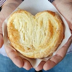 Elephant Ears