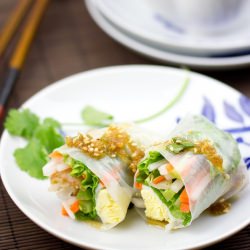 Spring Rolls with Ponzu