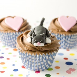 Pet Cupcakes