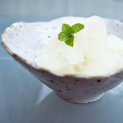 Mint Julep Sorbet